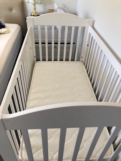 average cot size